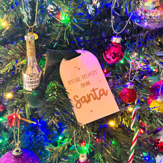 *CLEARANCE* Special Delivery From Santa Tag